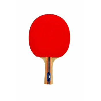 Slazenger Champion Ittf Onaylı Masa Tenis Raketi