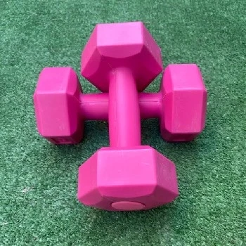 Leyaton 1 kg Dambıl Seti