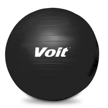Voit 5 kg Sağlık Topu